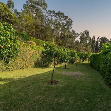 Host Wise - Luxurious House With Private Pool Amazing Views